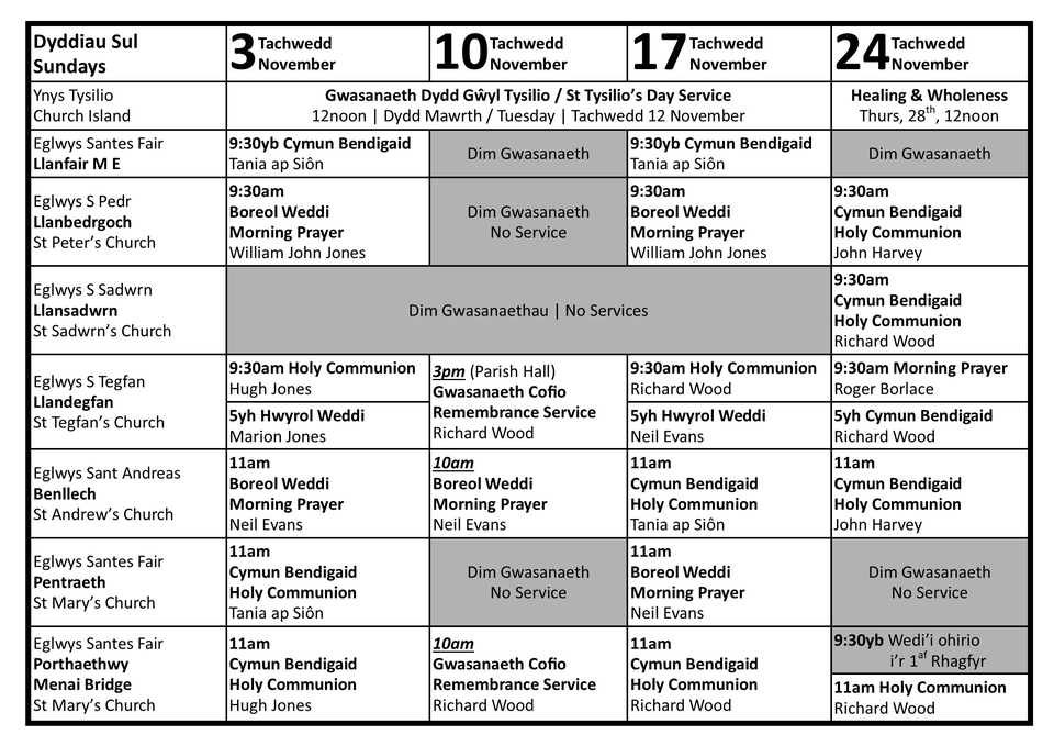 Cylchres o wasanaethau yn ystod mis Tachwedd, 2024 | Rota of services during November, 2024